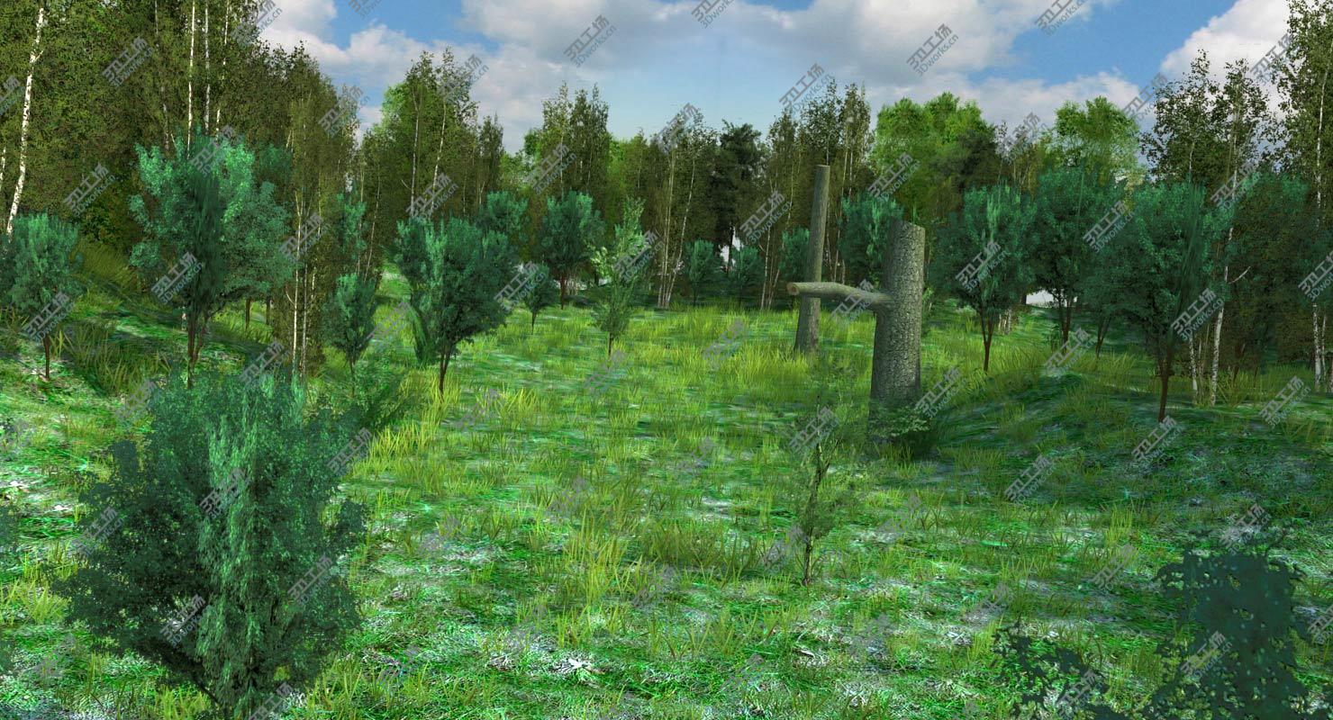 images/goods_img/202105071/Forest Meadow Game Ready Landscape/5.jpg